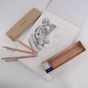 Box 12 Named Sketching Pencils image 2